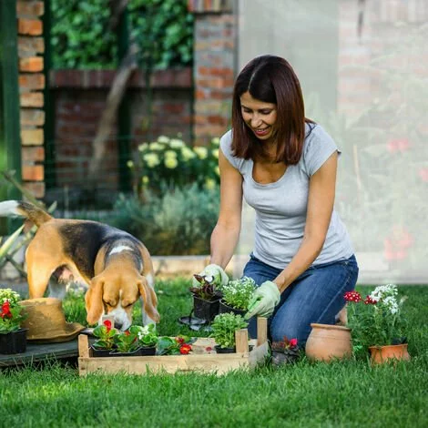 Relaxdays Serre De Jardin XL Serres à Tomates Avec Toit Rond Grande Serre Avec Porte H X L X P 170 X 200 X 82 Cm, Vert 4 Relaxdays Serre De Jardin XL Serres à Tomates Avec Toit Rond Grande Serre Avec Porte H X L X P 170 X 200 X 82 Cm, Vert – Image 4