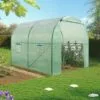 IDMARKET Serre Tunnel De Jardin 6M² Verte Gamme Maraîchère ROMA 2x3M - Vert
