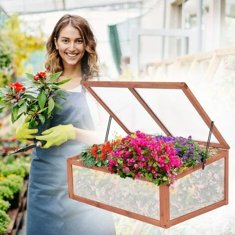 COSTWAY Serre De Jardin En Bois Massif Plantation Châssis Froid Fruits Plantes Balcon Jardinage 2 COSTWAY Serre De Jardin En Bois Massif Plantation Châssis Froid Fruits Plantes Balcon Jardinage – Image 2