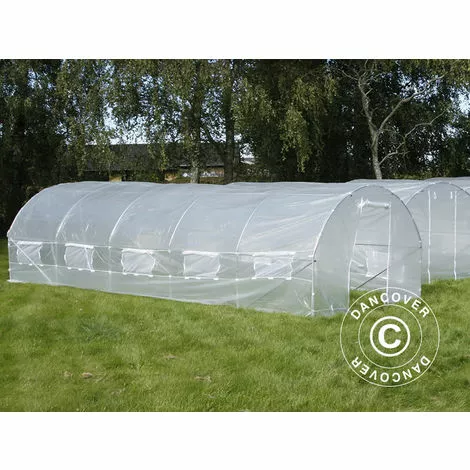DANCOVER Serre Tunnel 4x8x2m, 32m², Transparent - Transparent 3 DANCOVER Serre Tunnel 4x8x2m, 32m², Transparent - Transparent – Image 3