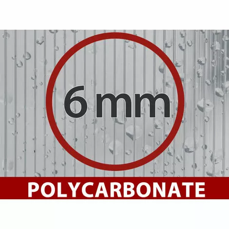 DANCOVER Extension Pour La Serre En Polycarbonate, TITAN Classic 480, 4,7m², 2,35x2m, Argent - Argenté 3 DANCOVER Extension Pour La Serre En Polycarbonate, TITAN Classic 480, 4,7m², 2,35x2m, Argent - Argenté – Image 3