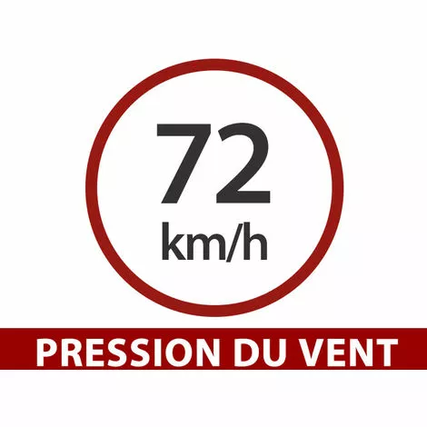 DANCOVER Extension Pour La Serre En Polycarbonate, TITAN Classic 480, 4,7m², 2,35x2m, Argent - Argenté 5 DANCOVER Extension Pour La Serre En Polycarbonate, TITAN Classic 480, 4,7m², 2,35x2m, Argent - Argenté – Image 5