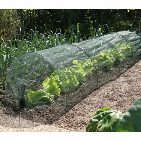 DIRECT FILET Kit Tunnel 2 En 1 : Film De Forçage Et Filet Anti-insecte 2 DIRECT FILET Kit Tunnel 2 En 1 : Film De Forçage Et Filet Anti-insecte – Image 2