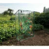 DIRECT FILET Serre Transparente Pour Cultures Grimpantes