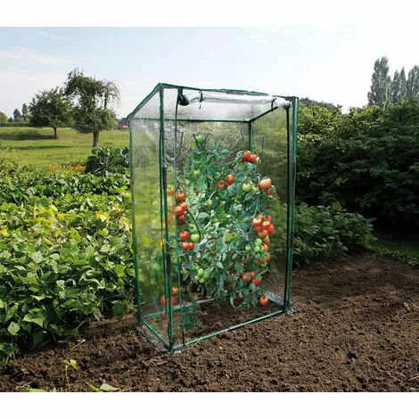 DIRECT FILET Serre Transparente Pour Cultures Grimpantes 1 DIRECT FILET Serre Transparente Pour Cultures Grimpantes