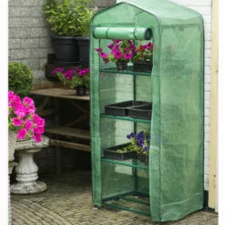 DIRECT FILET Mini Serre Botanique