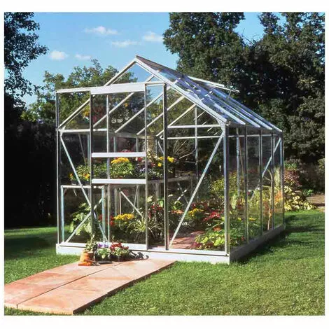 HALLS Serre En Verre Horticole Popular 86 - 5 M², Couleur Silver, Base Sans Base - Silver 3 HALLS Serre En Verre Horticole Popular 86 - 5 M², Couleur Silver, Base Sans Base - Silver – Image 3