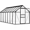 ASUPERMALL Serre Avec Cadre De Base Anthracite Aluminium 8,17 M²