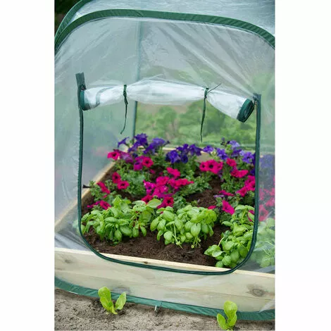 TRUE DEAL Serre Pop-up Nature 3 TRUE DEAL Serre Pop-up Nature – Image 3