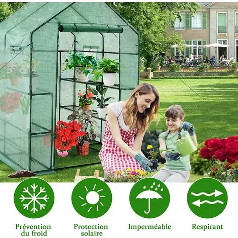 COSTWAY Serre De Jardin 3,9㎡avec Porte à Fermeture Enroulable Fenêtres D'Observation Bâche En PVC 8 Étagères 142 X 142 X 195 Cm Vert 2 COSTWAY Serre De Jardin 3,9㎡avec Porte à Fermeture Enroulable Fenêtres D'Observation Bâche En PVC 8 Étagères 142 X 142 X 195 Cm Vert – Image 2