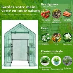 COSTWAY Serre De Jardin 3,9㎡avec Porte à Fermeture Enroulable Fenêtres D'Observation Bâche En PVC 8 Étagères 142 X 142 X 195 Cm Vert 7 COSTWAY Serre De Jardin 3,9㎡avec Porte à Fermeture Enroulable Fenêtres D'Observation Bâche En PVC 8 Étagères 142 X 142 X 195 Cm Vert -Serre de jardin Boutique 30137462 3