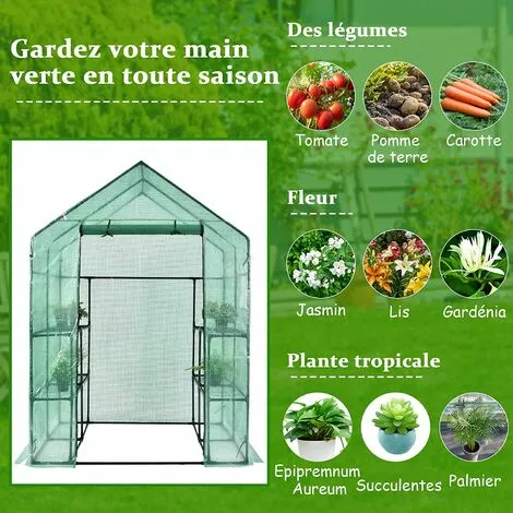 COSTWAY Serre De Jardin 3,9㎡avec Porte à Fermeture Enroulable Fenêtres D'Observation Bâche En PVC 8 Étagères 142 X 142 X 195 Cm Vert 3 COSTWAY Serre De Jardin 3,9㎡avec Porte à Fermeture Enroulable Fenêtres D'Observation Bâche En PVC 8 Étagères 142 X 142 X 195 Cm Vert – Image 3