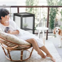 Relaxdays Serre Bois Balcon, Bois & Plastique, HLP: 80 X 36 X 36 Cm, Porte Et Couvercle, Culture Plantes Et Semis, Noir -Serre de jardin Boutique 32712879 4