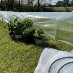 ALICE'S GARDEN 5 Tunnels De Forçage 3m² En Polyéthylène - Menthe. Pour Cultiver Fruits Et Légumes. Serres Rabattables En Accordéon - Transparent 8 ALICE'S GARDEN 5 Tunnels De Forçage 3m² En Polyéthylène - Menthe. Pour Cultiver Fruits Et Légumes. Serres Rabattables En Accordéon - Transparent -Serre de jardin Boutique 33593773 4