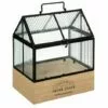 ATMOSPHERA, CRATEUR D'INTRIEUR Serre D'Intérieur "Green House" 30cm Transparent