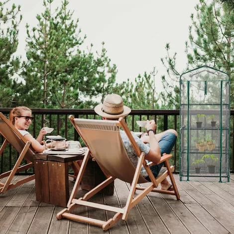 Relaxdays Serre De Balcon, Métal Et Plastique, H X L X P : 161 X 69 X 49 Cm, Taille Compacte, Verte/transparente 3 Relaxdays Serre De Balcon, Métal Et Plastique, H X L X P : 161 X 69 X 49 Cm, Taille Compacte, Verte/transparente – Image 3