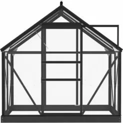 VidaXL Serre En Verre Anthracite 155x103x191 Cm Aluminium - Anthracite 8 VidaXL Serre En Verre Anthracite 155x103x191 Cm Aluminium - Anthracite -Serre de jardin Boutique 49982264 4