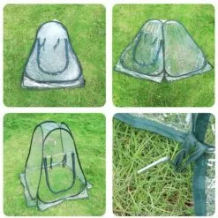 Serres De Culture En PVC Pour Intérieur Ou Extérieur Mini Serre De Jardin, Petite Couverture Portable Pour Plantes De Jardin 70 X 70 X 80 Cm,Starlight 8 Serres De Culture En PVC Pour Intérieur Ou Extérieur Mini Serre De Jardin, Petite Couverture Portable Pour Plantes De Jardin 70 X 70 X 80 Cm,Starlight -Serre de jardin Boutique 51474987 4