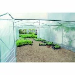 ATOUT LOISIR Serre Tunnel Deschamps Pieds Droits Larg 4 M Pas à 2 M, L 4 M, Type 200 Microns Incolore Plasticlair , Façade Pas De Façade Ni De Porte, Support De Culture Non 7 ATOUT LOISIR Serre Tunnel Deschamps Pieds Droits Larg 4 M Pas à 2 M, L 4 M, Type 200 Microns Incolore Plasticlair , Façade Pas De Façade Ni De Porte, Support De Culture Non -Serre de jardin Boutique 53327690 3