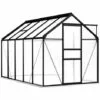 Hommoo Serre Avec Cadre De Base Anthracite Aluminium 5,89 M²