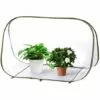 SUPERMARKET Petit Serre De Jardin Mini Pop Up Serre Protection Plantes Tente Fleur Abri Backyard Balcon Terrasse Serres De Culture En PVC Pour Intérieur Ou Extérieur 90x52x62 Cm,Superma,transparent+vert