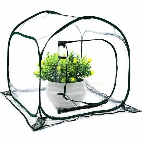 SUPERMARKET Mini Serre Pop Up Grow House, Couverture De Serre Intérieure Extérieure En PVC, Petit Abri De Fleurs De Jardin Portable - 80 X 80 X 80 Cm,Suoperma,vert Foncé + Transparent 3 SUPERMARKET Mini Serre Pop Up Grow House, Couverture De Serre Intérieure Extérieure En PVC, Petit Abri De Fleurs De Jardin Portable - 80 X 80 X 80 Cm,Suoperma,vert Foncé + Transparent – Image 3