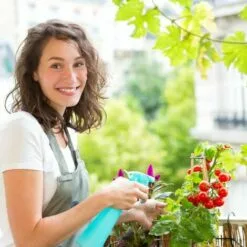 JARDIBRICODECO Serre De Jardin Transparente 7 JARDIBRICODECO Serre De Jardin Transparente -Serre de jardin Boutique 55316119 3