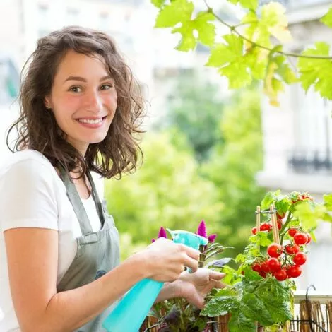 JARDIBRICODECO Serre De Jardin Transparente 3 JARDIBRICODECO Serre De Jardin Transparente – Image 3