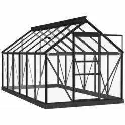 INLIFE Serre En Verre Anthracite 155x298x191 Cm Aluminium