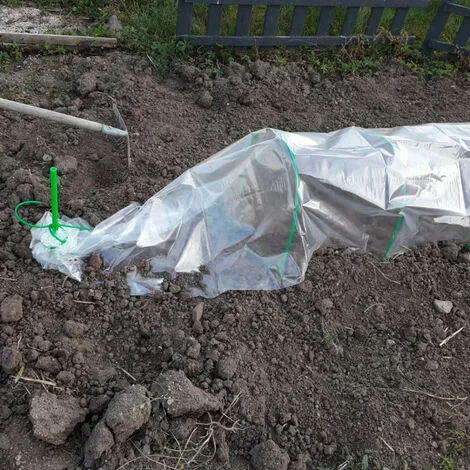 RONDY Serre Tunnel De Forçage 3.7 M 2 RONDY Serre Tunnel De Forçage 3.7 M – Image 2