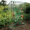 INLIFE Nature Serre à Tomates Avec Fermeture éclair Et Attaches Serre De Jardin PVC 100x50x150 Cm
