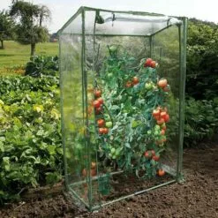 INLIFE Nature Serre à Tomates Avec Fermeture éclair Et Attaches Serre De Jardin PVC 100x50x150 Cm