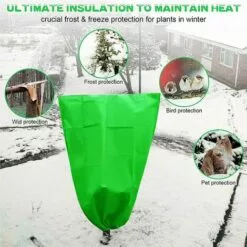 CHANCEY Sunshine Smile Pop-up Serre,Tente Serre,Mini Serre Avec Cadre Et Couvercle, Mini Serre,Tente Pour Serre Pliable, Petite Serre,Housse De Jardinage Portable (60x80).SEMAket -Serre de jardin Boutique 58677661 3