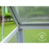 DANCOVER Mini Serre Polycarbonate 0,29m², 0,76x0,385x1,5m, Aluminium - Argenté