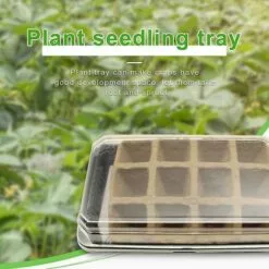 PREMIER 4pcs Plateau De Démarrage De Semences Biodégradable Jardin Plateau De Semis Plante Culture Pépinière Boîte De Germination De Pépinière 5 PREMIER 4pcs Plateau De Démarrage De Semences Biodégradable Jardin Plateau De Semis Plante Culture Pépinière Boîte De Germination De Pépinière -Serre de jardin Boutique 60551544 3