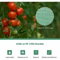 COSTWAY Serre De Jardin Portable-100 Cm X 50 Cm X 170 Cm Avec Porte à Glissière Enroulable-2 Sangles Housse En Plastique PE -Serre de jardin Boutique 61219964 4