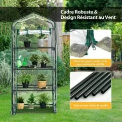 COSTWAY Serre De Jardin-4 Étagères Amovibles-69x48,5x159cm Avec Bâche PE Et Porte Enroulable-Transparente Intérieur/Extérieur 7 COSTWAY Serre De Jardin-4 Étagères Amovibles-69x48,5x159cm Avec Bâche PE Et Porte Enroulable-Transparente Intérieur/Extérieur -Serre de jardin Boutique 61220015 3