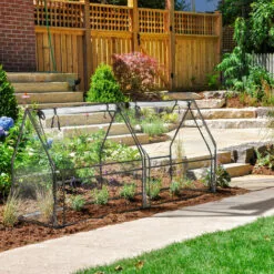 Relaxdays Serre De Jardin 2 Portes, Bâche En PVC, Pour Vos Plantations Précoces, HxLxP : 92 X 180 X 92 cm; Transparent -Serre de jardin Boutique 61314003 3