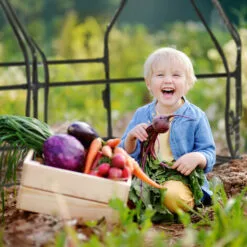 Relaxdays Serre De Jardin 2 Portes, Bâche En PVC, Pour Vos Plantations Précoces, HxLxP : 92 X 180 X 92 cm; Transparent -Serre de jardin Boutique 61314003 4