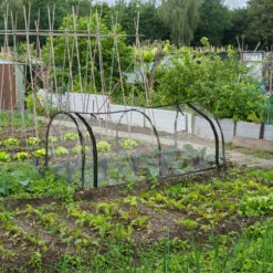 Relaxdays Serre De Jardin, Tunnel Plantations, H X L X P : 50 X 130 X 60 Cm, Tunnel Avec Porte, PVC, Transparent/noir -Serre de jardin Boutique 61347057 3