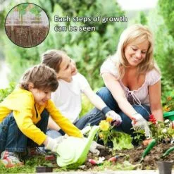 OSQI Plateau De Semis, Mini Plateaux De Germination Pour Plantes De Serre Avec Couvercle, Pots De Culture D'intérieur, Plateau De Semis Pour Démarrer La Croissance De La Germination En Serre (lot De 10) -Serre de jardin Boutique 65501973 3