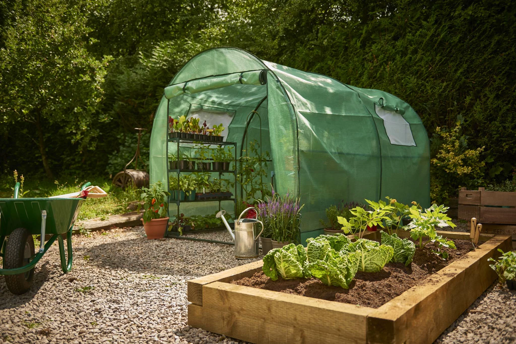 France Serre de jardin Soldes 2022 -Serre de jardin Boutique Serre jardin tunnel Premium exterieur 05